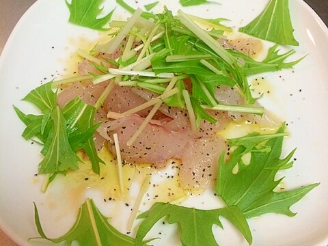 新鮮釣りたて真鯛！　真鯛のカルパッチョ